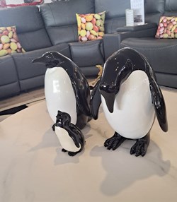 Penguins 1